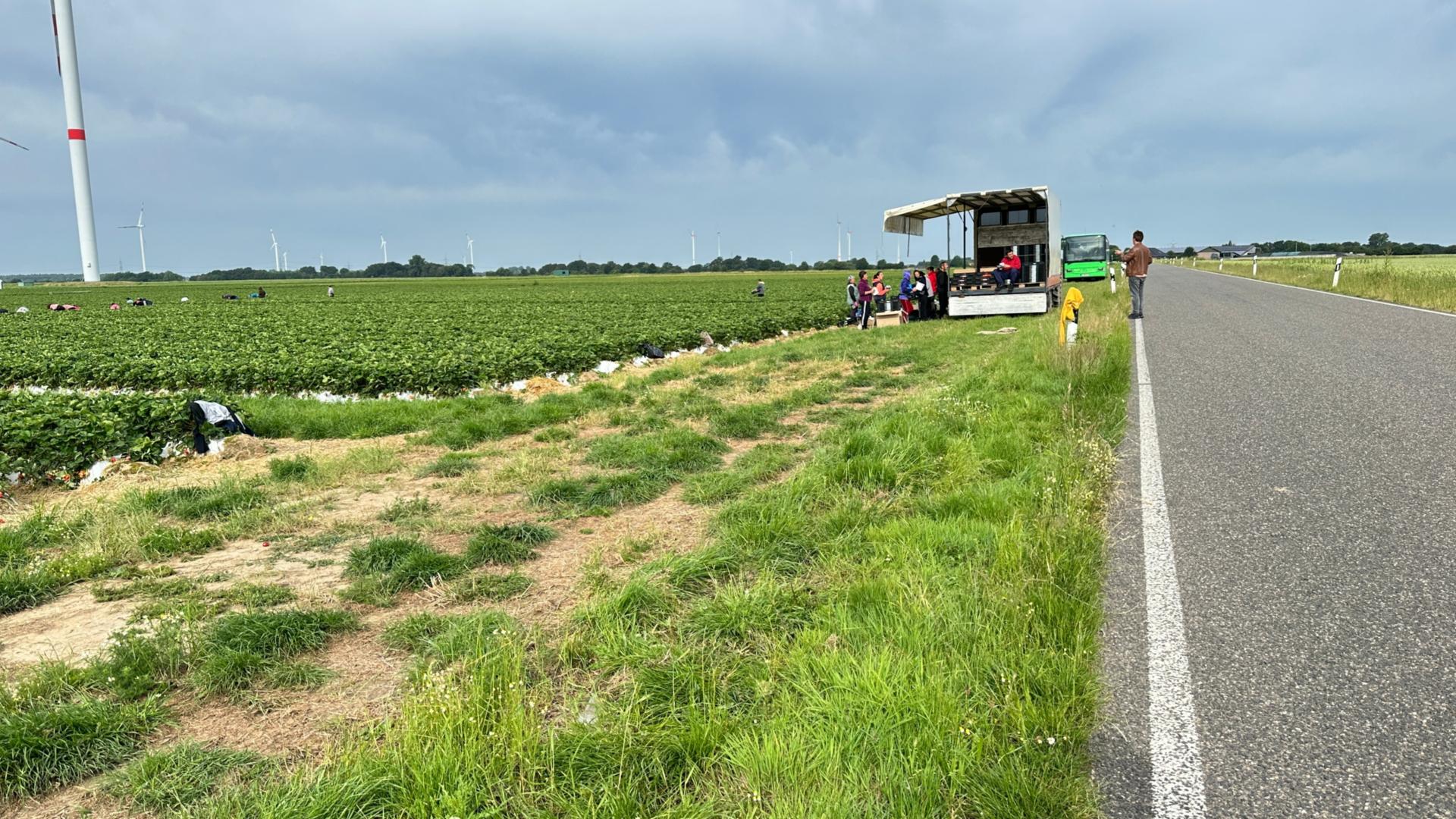Erntehelfer-Aktion im Kreis Heinsberg (c) Stanimir Mihaylov - Arbeit und Leben NRW