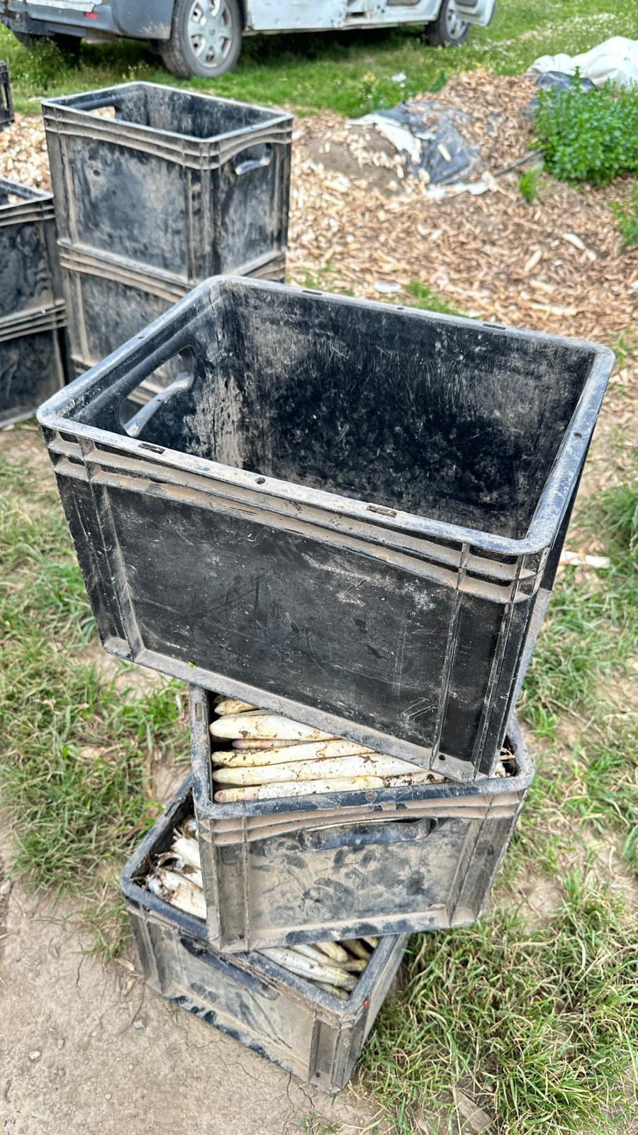 Erntehelfer-Aktion im Kreis Heinsberg (c) Stanimir Mihaylov - Arbeit und Leben NRW