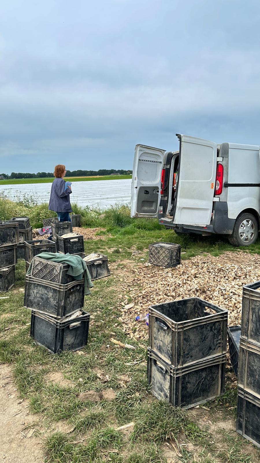 Erntehelfer-Aktion im Kreis Heinsberg (c) Stanimir Mihaylov - Arbeit und Leben NRW